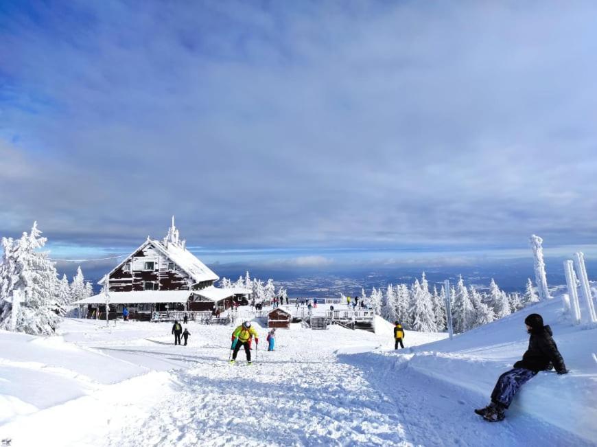 Osrodek Wypoczynkowy Zapalenica Bed and Breakfast Szczyrk Εξωτερικό φωτογραφία